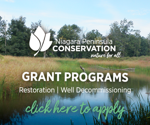 Banner for Niagara Peninsula Conservation Grant Programs featuring a natural wetland scene.