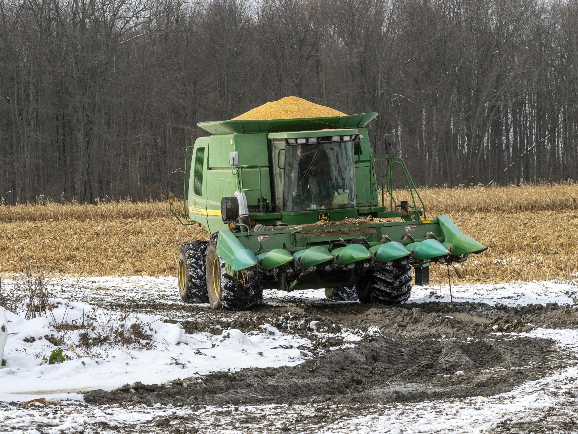 Green combine harvester filled with corn, parked in a partially harvested cornfield with snow on the ground, and a forest in the background.